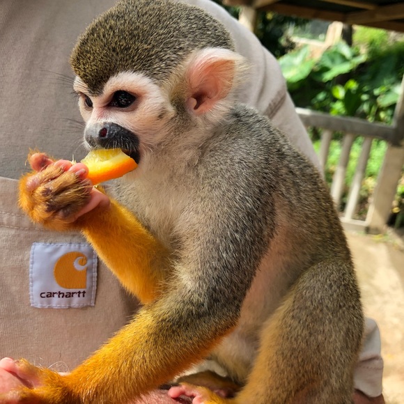 Meet your Posher - Picture 3 of 7